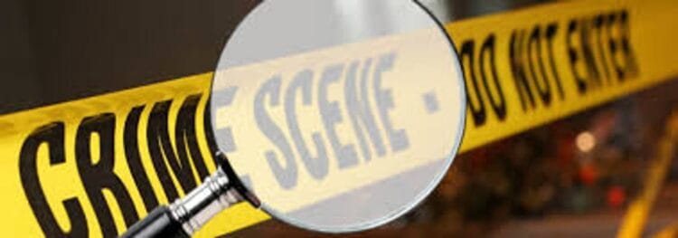 image editor output image 1272487975 1771612330609