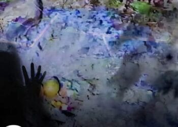 image editor output image 763991343 1770735393000