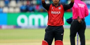 image editor output image162691873 1770389429770