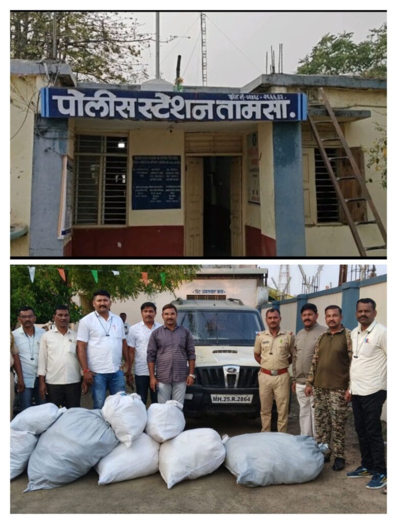 img 20260211 0838476753347204747712319