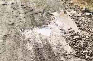 image editor output image1479844842 17750310742004683776650690349212