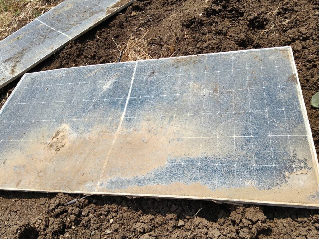 img 20260402 wa05001204664950904268859